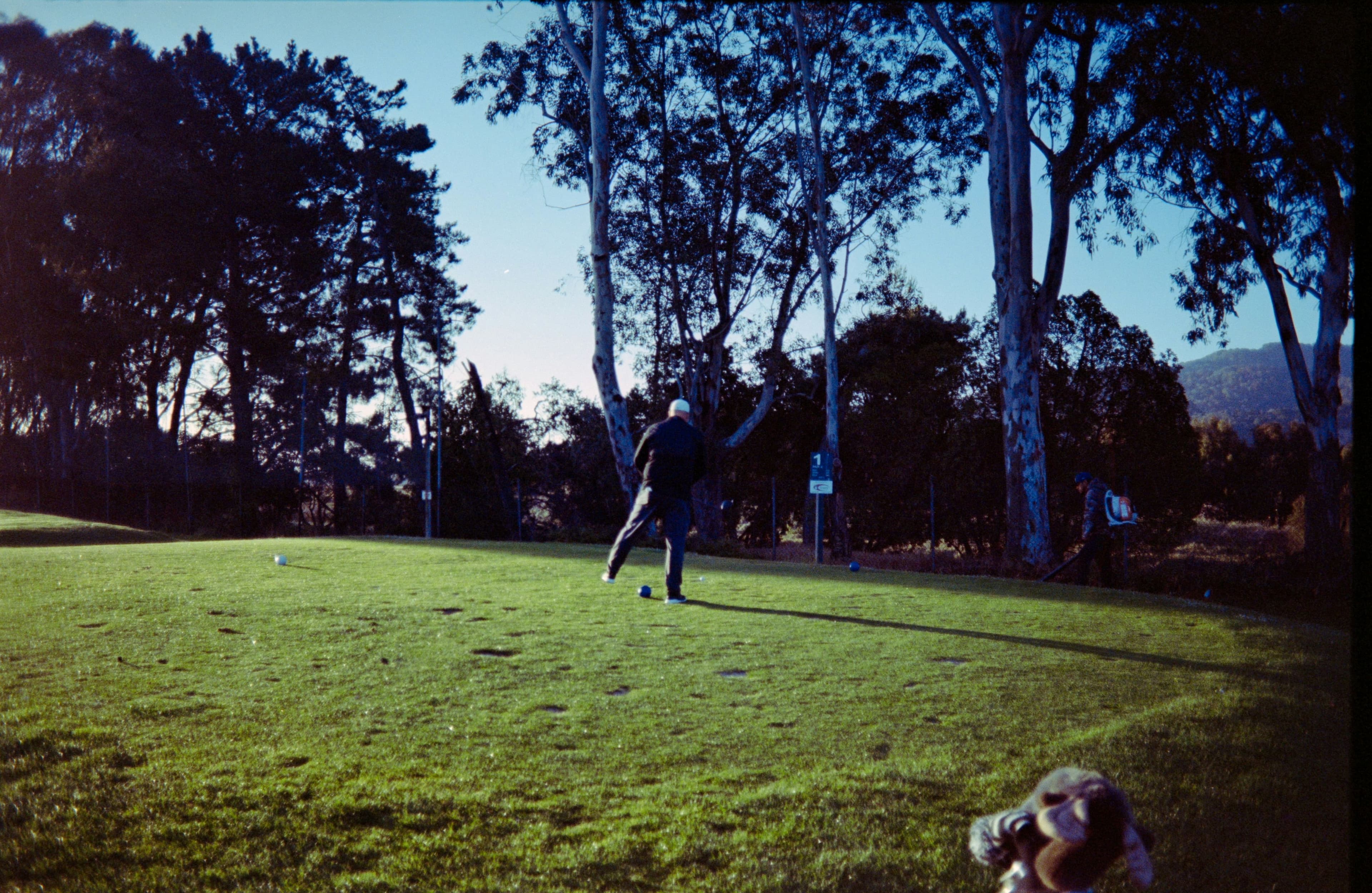 Malbon 60% Archive Sale